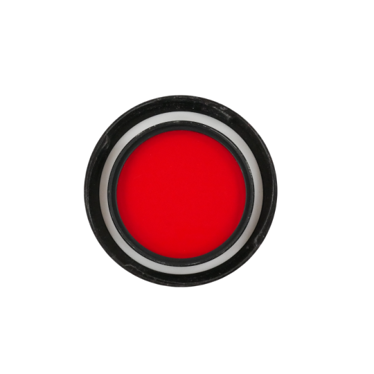 Hoya 49mm Red Filter